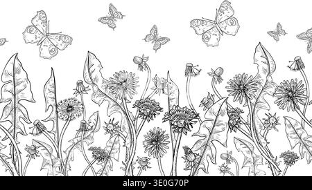 Dandelion field and butterflies black white vector seamless border. Botanical monochrome drawing background with summer wild herb and insect. Flowers Stock Vector