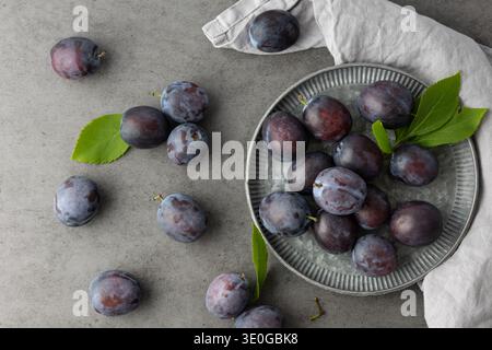 Retro plate with whole fresh ripe plum fruits and leaves on dark grey stone table background. Seasonal summer plums. Stock Photo
