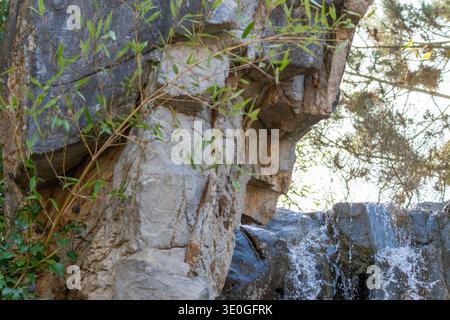 Natural rock face with cascading waterfall. Green bamboo grows from stone crevices. Sunlight filters through surrounding trees. Rustic, textured cliff Stock Photo