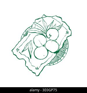 Tropical fruits on a plate. Summer outline illustration of oranges and peaches. Vector line art in green. Stock Vector