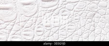 White leather texture background. Embossed crocodile skin textile surface macro. Stock Photo