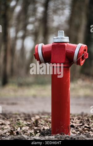 Red fire hydrant standing in a forest park area for emergency fire protection and safety Stock Photo
