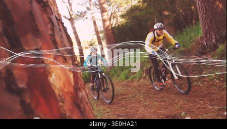 Cycling pair riding pine trail, in yellow, teal jackets, with bikes, reddish trunk, dotted overlay. Cyclist, forest, path, sunlit, canopy, roots, rock Stock Photo