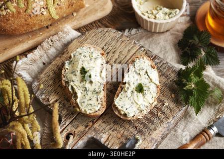 Nettle butter - homemade bread spread made of wild edible plants, on two slices of sourdough bread Stock Photo