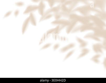 Soft leaf tree shadow, flower plant cast blurred gobo. Light wall bg overlay, tropic branch delicate png. White summer decoration elements. Nature Stock Vector