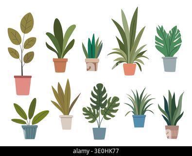 Plants in pots vary in shape and color. Stock Vector