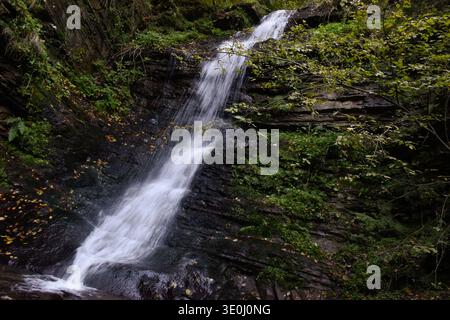 Large stream with clear frothy water flowing down moss-covered rocks. Beautiful autumn landscape, woodland, golden leaves on dark stones. Stock Photo