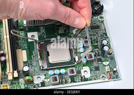 Installing a computer processor into the motherboard socket, close-up view Stock Photo