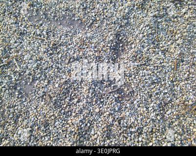 A high-resolution overhead shot of a gravel path featuring various small, rounded river stones in grey, tan, and white. Minimal organic twigs add a na Stock Photo