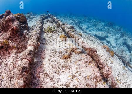 Trans-Pacific undersea communication cables lie along the ocean floor off the coast of Guam in Micronesia, forming part of the global submarine cable Stock Photo