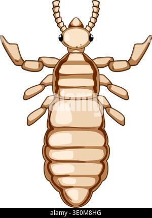 Louse insect parasite medical illustration isolated Stock Vector