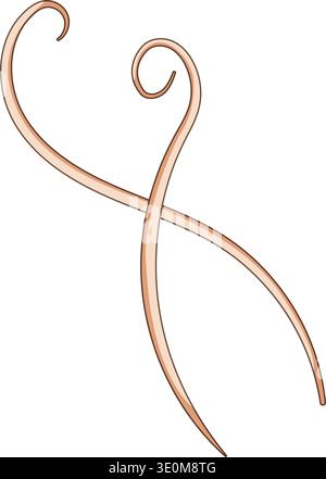 Parasitic roundworm vector crossing on white background Stock Vector