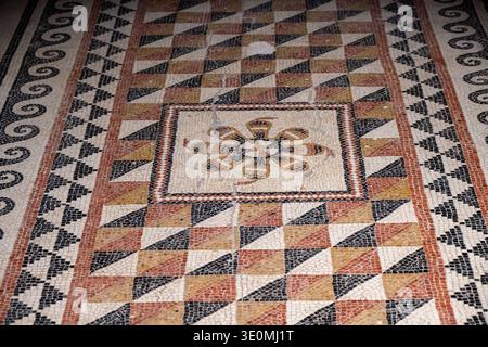 Geometric Roman floor mosaic featuring a central rosette and colorful diamond pattern, exhibited in Nimes at the Musee de la Romanite. Stock Photo