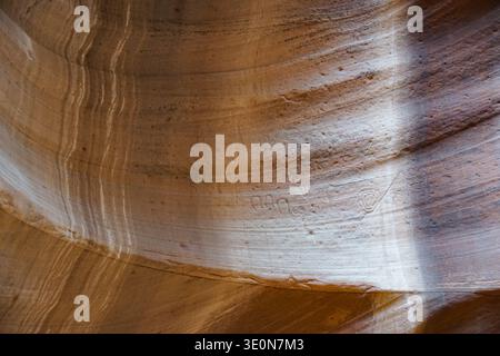 Layered sandstone wall with curved sediment bands and natural erosion patterns inside a narrow rock canyon. Stock Photo