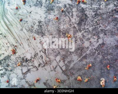 A high-angle macro photograph of a weathered metal surface featuring scattered red and yellow organic flower debris. The image creates a striking, hig Stock Photo
