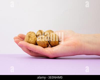 Hand holding several whole walnuts Stock Photo
