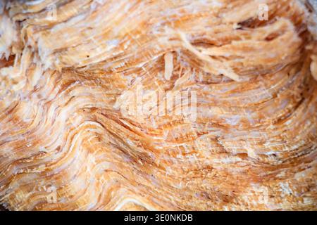 Wavy texture of wet wood Stock Photo