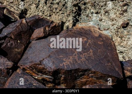 Prehistoric petroglyphs of wild animals are etched into a dark, weathered rock surface in the Nubra Valley near Ensa Gompa. Stock Photo