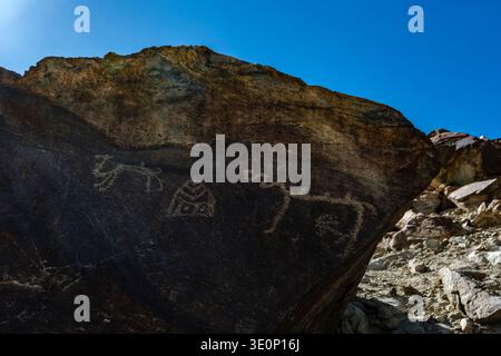 Prehistoric petroglyphs of wild animals are etched into a dark, weathered rock surface in the Nubra Valley near Ensa Gompa. Stock Photo