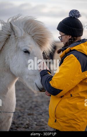 View of a woman in a vibrant yellow jacket gently touching a white Icelandic horse with a fluffy mane against a backdrop of a cloudy sky, Hofn, Icelan Stock Photo