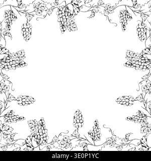 Botanical grapevine square frame with intertwined tendrils, leaves and grape bunches on curling creepers. Hand drawn ink vector illustration. Vineyard Stock Vector