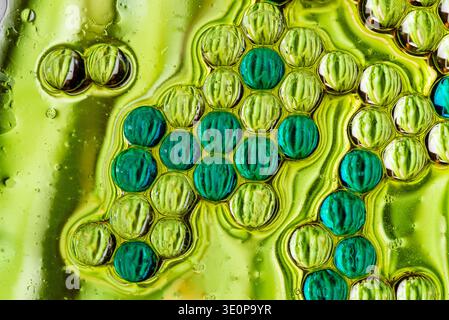 High quality macro shot of green and yellow oil bubbles arranged in a dense cellular pattern, creating a vibrant organic texture and background. Stock Photo