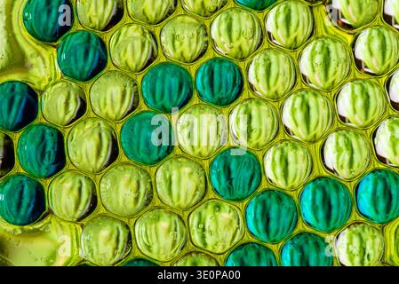 High quality macro shot of green and yellow oil bubbles arranged in a dense cellular pattern, creating a vibrant organic texture and background. Stock Photo