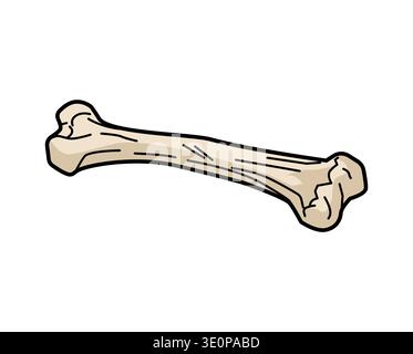 Simple human bone. Anatomical and biological concept for science, medicine, and Halloween decor. Isolated on white. Stock Vector