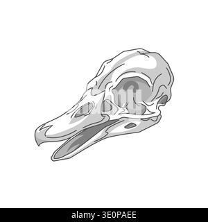 bird skull profile. Minimalist anatomical concept for biological research, nature, and science education. Stock Vector