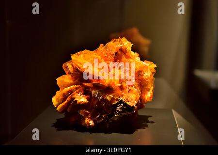 Colorful mineral crystals and geological specimens displayed in illuminated cases at the Carnegie Museum of Natural History in Pittsburgh, highlightin Stock Photo