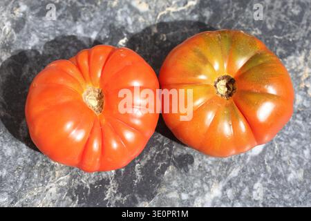 top view of Pantano Romanesco tomato on wooden background Stock Photo