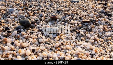 Colorful pebbles and shells scattered on sandy beach illuminated by warm sunset light texture Stock Photo
