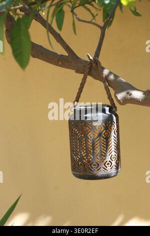 lantern hanging on a tree in the garden Stock Photo