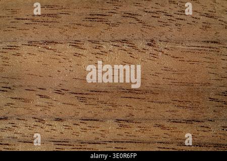 Extreme close-up of natural black walnut hardwood plank showing rich dark grain pattern. Raw planed timber surface, unsanded and untreated, ideal wood Stock Photo