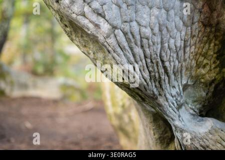 Rock texture, Fontainebleau Stock Photo