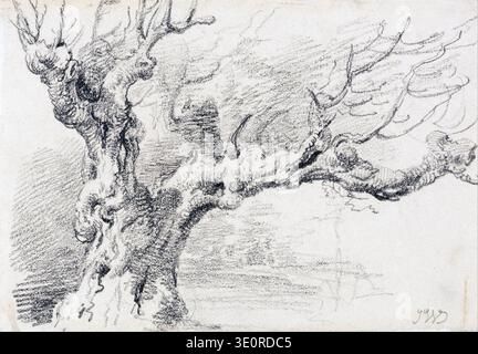 This charcoal and chalk drawing by James Ward, likely from the early 19th century, depicts an 'Old Oak Tree.' The dramatic composition emphasizes the gnarled trunk and expansive, windswept branches, capturing the tree's powerful and enduring presence through dynamic chiaroscuro. The sketch showcases Ward's distinctive artistic style. Stock Photo