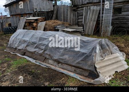 A plastic-covered garden bed and makeshift cold frame sit beside a weathered log shed and compost pile in a rustic rural backyard, showing seasonal ga Stock Photo