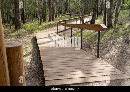 Wooden Boardwalk Through Pine and Birch Forest With Handrail in Spring Light Stock Photo