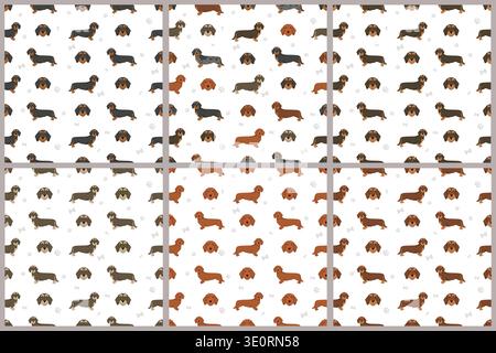 Dachshund wire haired dog seamless pattern. Different coat colors set.  Vector illustration Stock Vector