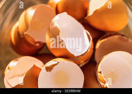 Empty cracked brown eggshells in a glass bowl Stock Photo