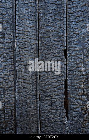 Charred cracked black wood after fire, close-up view. Detailed background of burned wooden planks with carbonized surface after fire incident. Stock Photo