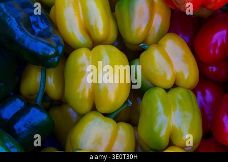 Commercial Title: Assorted Pile of Fresh Red, Orange, and Green Chili Peppers, Vibrant Multi-Colored Spicy Peppers Background, Organic Harvest Food Te Stock Photo