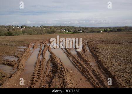 Muddy tractor tyre tracks filled with rainwater in an agricultural field near Chepstow, Monmouthshire, Wales, UK. Pwllmeyric village in view. Stock Photo