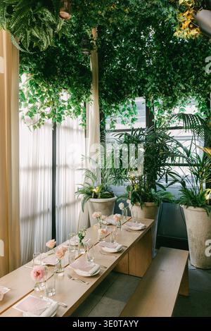 Dining area with plants and natural light in restaurant setting during the day Stock Photo