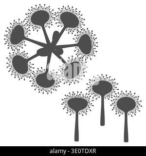 Set of black and white illustrations drosera, sundew plants. Isolated vector objects. Stock Vector