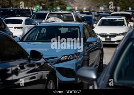 Blue sedan parked between rows of vehicles in a busy Florida parking lot, framed by black bollards and surrounding passenger cars in daylight Stock Photo