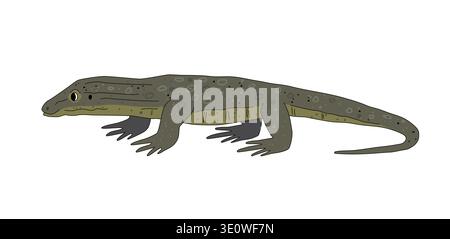 Australian goanna lizard cartoon isolated on white background. Vector illustration Stock Vector
