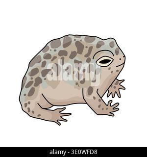 Desert rain frog. Vector isolated illustration on the white background Stock Vector