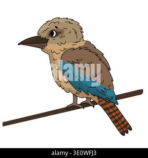 Cute kookaburra cartoon perched on branch isolated on white background. Vector illustration Stock Vector