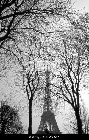 The Eiffel Tower seen through tree leafless trees in Paris, France Stock Photo